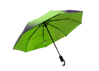 Ups & Downs Umbrella
