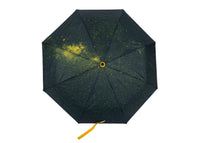 Ups & Downs Umbrella