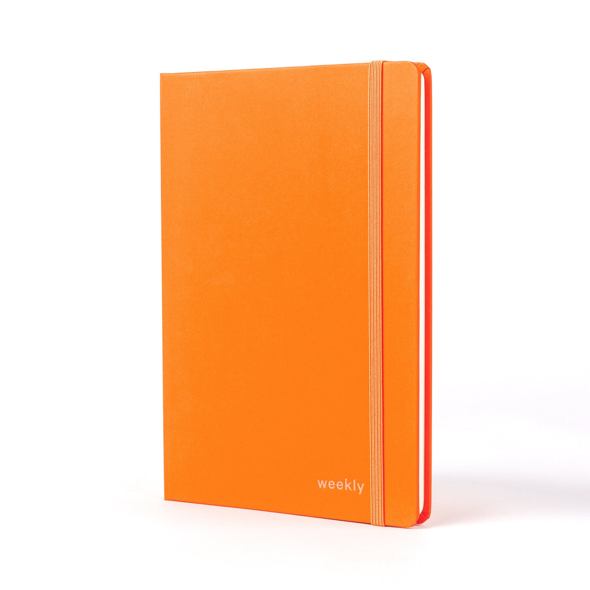 Moodler Week to View Undated Diary