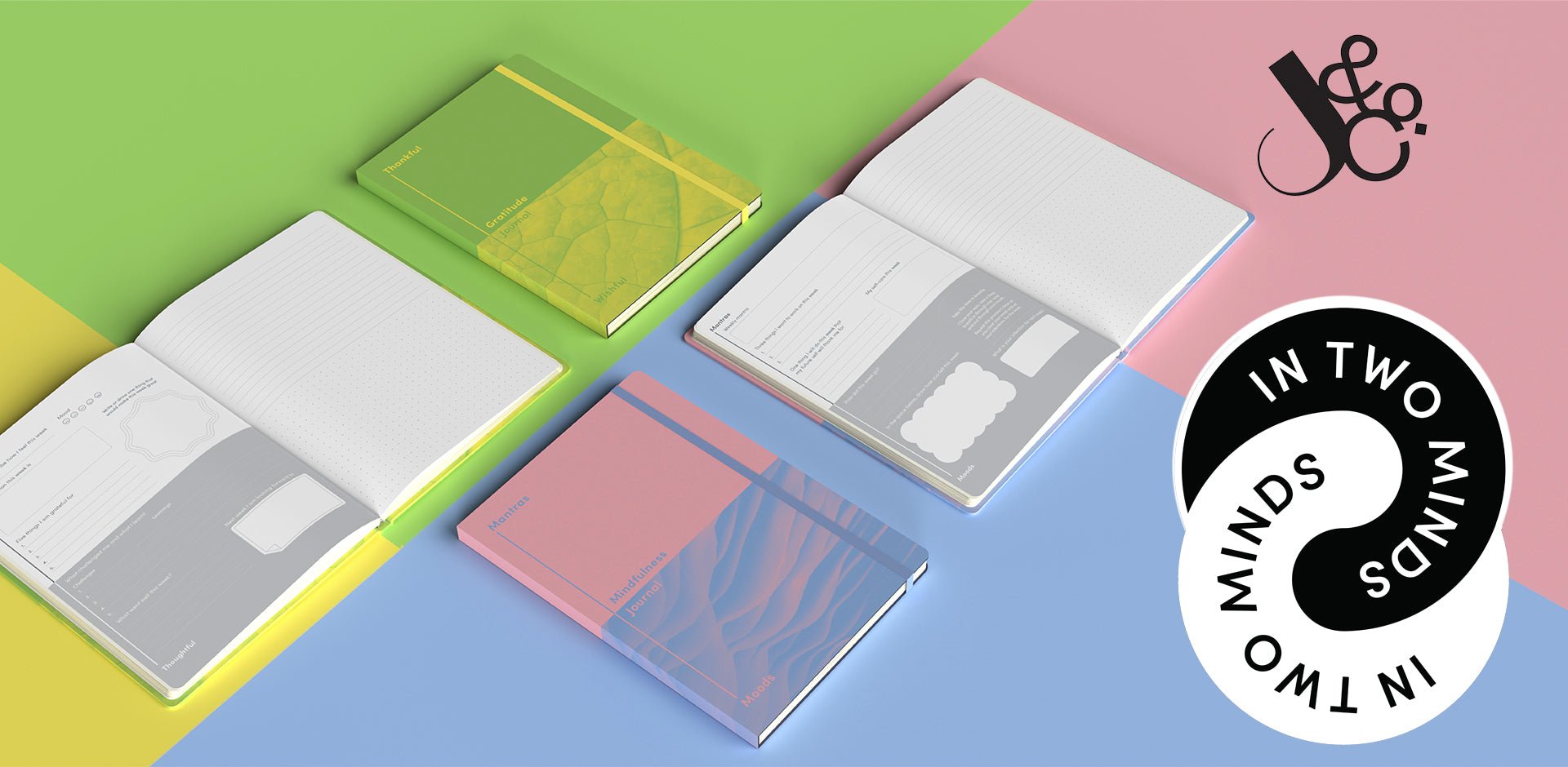 Jumble & Co is In Two Minds - Collins Debden UK