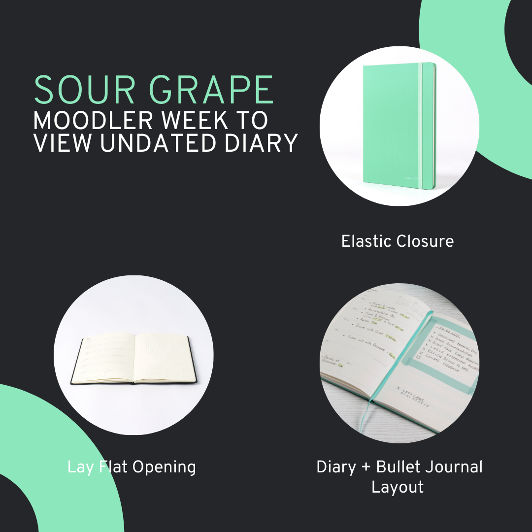 Moodler Week to View Undated Diary