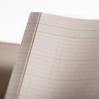 Cathedral -  Accounts Book Analysis 21 Cash Columns - Red (150/21.1)