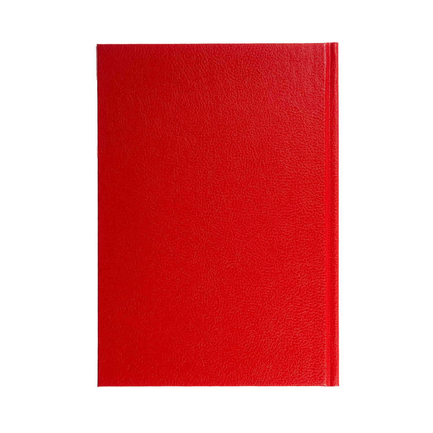 Standard Desk A5 DayToPage Diary 2026 CalendarYearPlanner