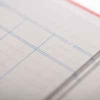 Cathedral -  Accounts Book Analysis 27 Cash Columns - Red (150/27.1)