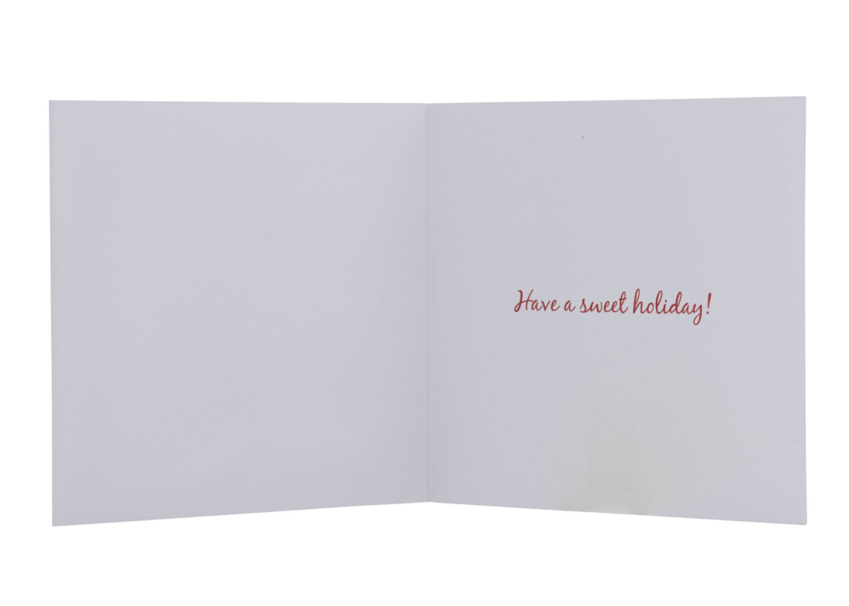 3D snow Bundle - Includes 2 Packs - Collins Debden UK