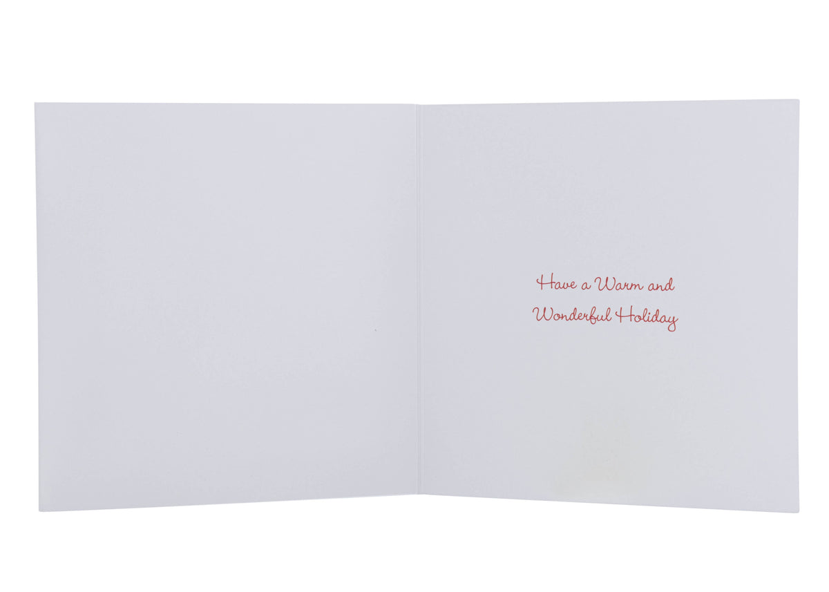 3D snow Bundle - Includes 2 Packs - Collins Debden UK