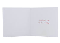 3D snow Bundle - Includes 2 Packs - Collins Debden UK