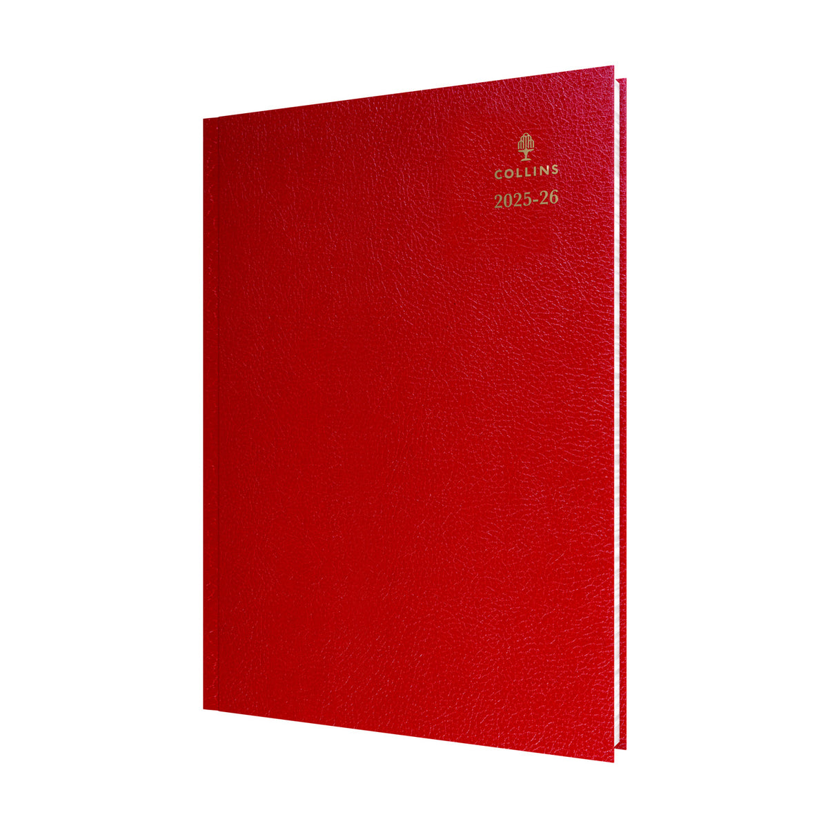 Desk - A4 Day-to-Page with Appointments Mid/Academic Year Diary Planner 2025-2026