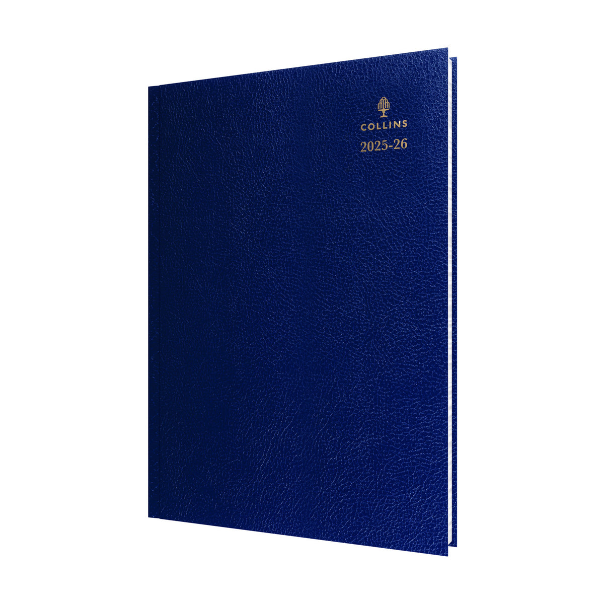 Desk - A4 Day-to-Page with Appointments Mid/Academic Year Diary Planner 2025-2026