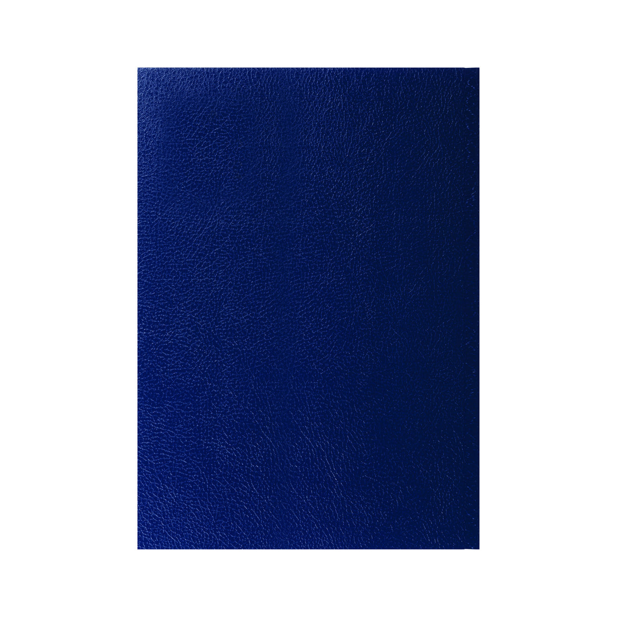 Desk - A4 Day-to-Page with Appointments Mid/Academic Year Diary Planner 2025-2026