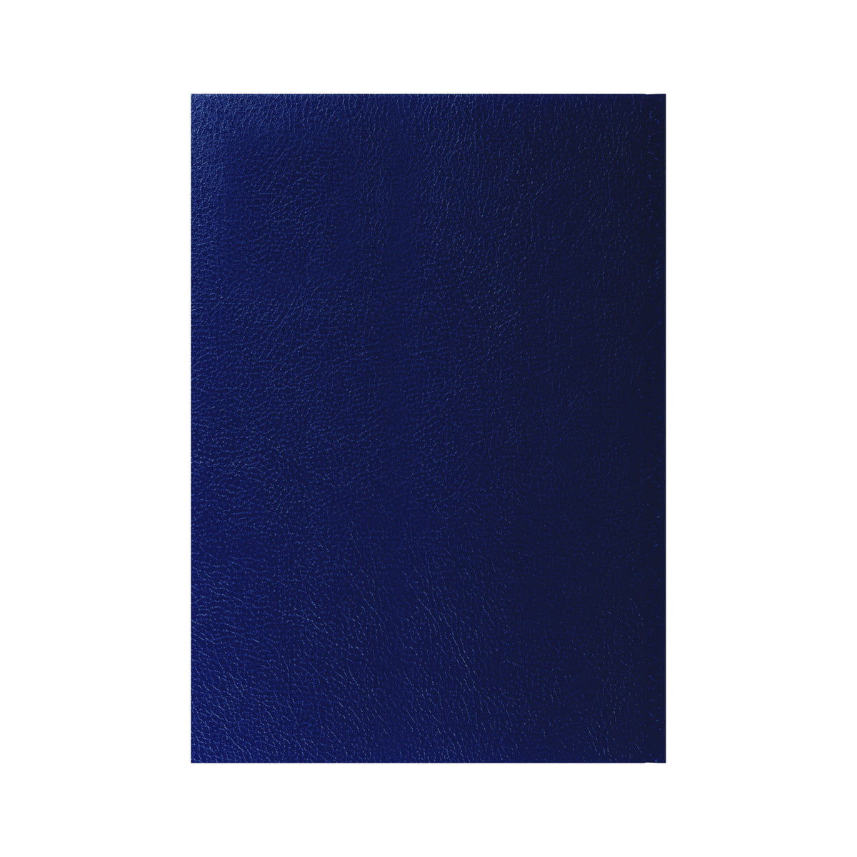 2026-2027 - Mid Year Planner - 13 Month A4 Day-to-Page with Appointments - Collins Debden Desk Diary