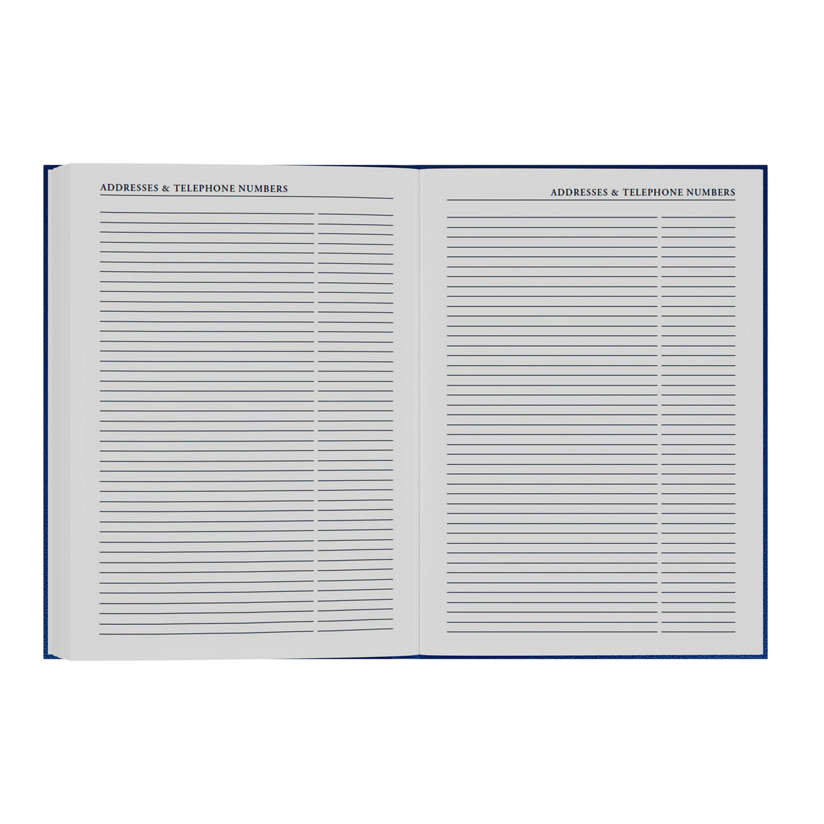 2026-2027 - Mid Year Planner - 13 Month A4 Day-to-Page with Appointments - Collins Debden Desk Diary