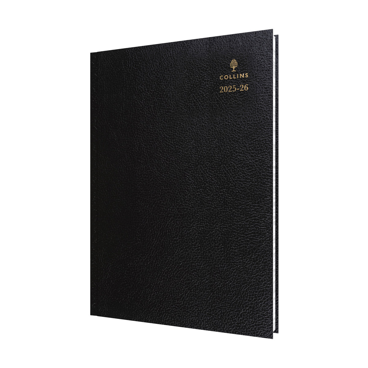 Desk - A4 Day-to-Page with Appointments Mid/Academic Year Diary Planner 2025-2026