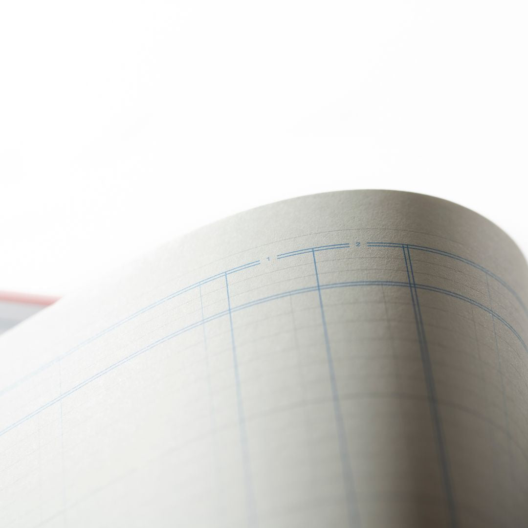 Cathedral -  Accounts Book Analysis 2 Debit, 10 Credit Columns - Red (69/2/10.1)