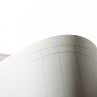 Cathedral -  Accounts Book Analysis 2 Debit, 10 Credit Columns - Red (69/2/10.1)