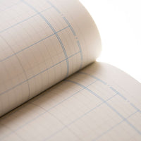 Cathedral -  Accounts Book 14 Cash Columns  - Red (69/14.1)