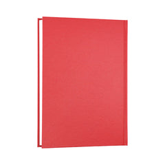 Desk - A5 Day-to-Page 2024-2025 Mid/Academic Year Diary/Planner