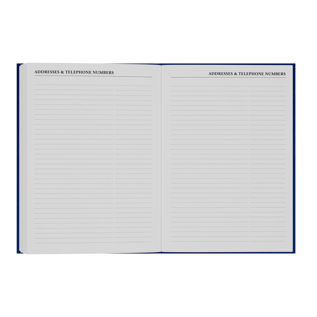 Desk - A5 Day-To-Page with Appointments Mid/Academic Year Diary Planner 2025-2026