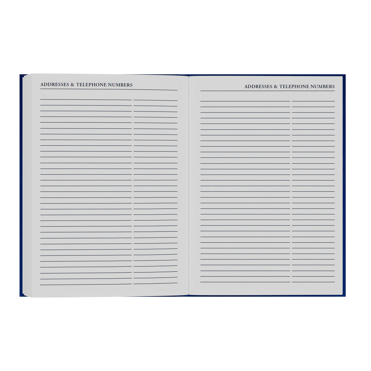 2026-2027 - Mid Year Planner - 13 Month A5 Day-to-Page with Appointments - Collins Debden Desk Diary