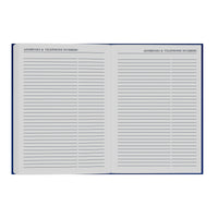 2026-2027 - Mid Year Planner - 13 Month A5 Day-to-Page with Appointments - Collins Debden Desk Diary