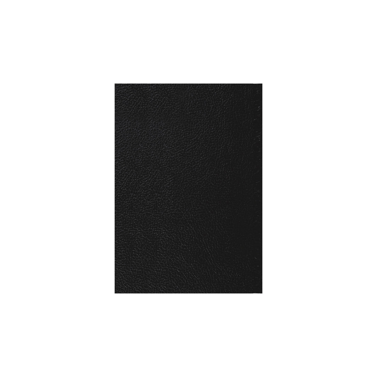 2026-2027 - Mid Year Planner - 13 Month A5 Day-to-Page with Appointments - Collins Debden Desk Diary