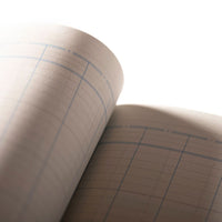 Cathedral -  Accounts Book 12 Cash Columns - Red (69/12.1)