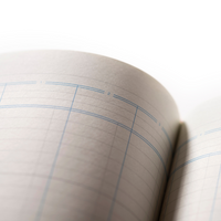 Cathedral -  Accounts Book 10 Cash Columns  - Red (69/10.1)