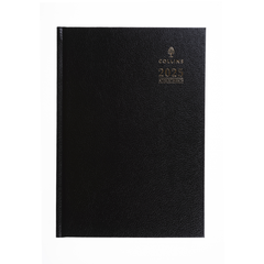 Collins Desk - 2025 A4 Day-to-Page Business Diary with Appointments (A44-25)