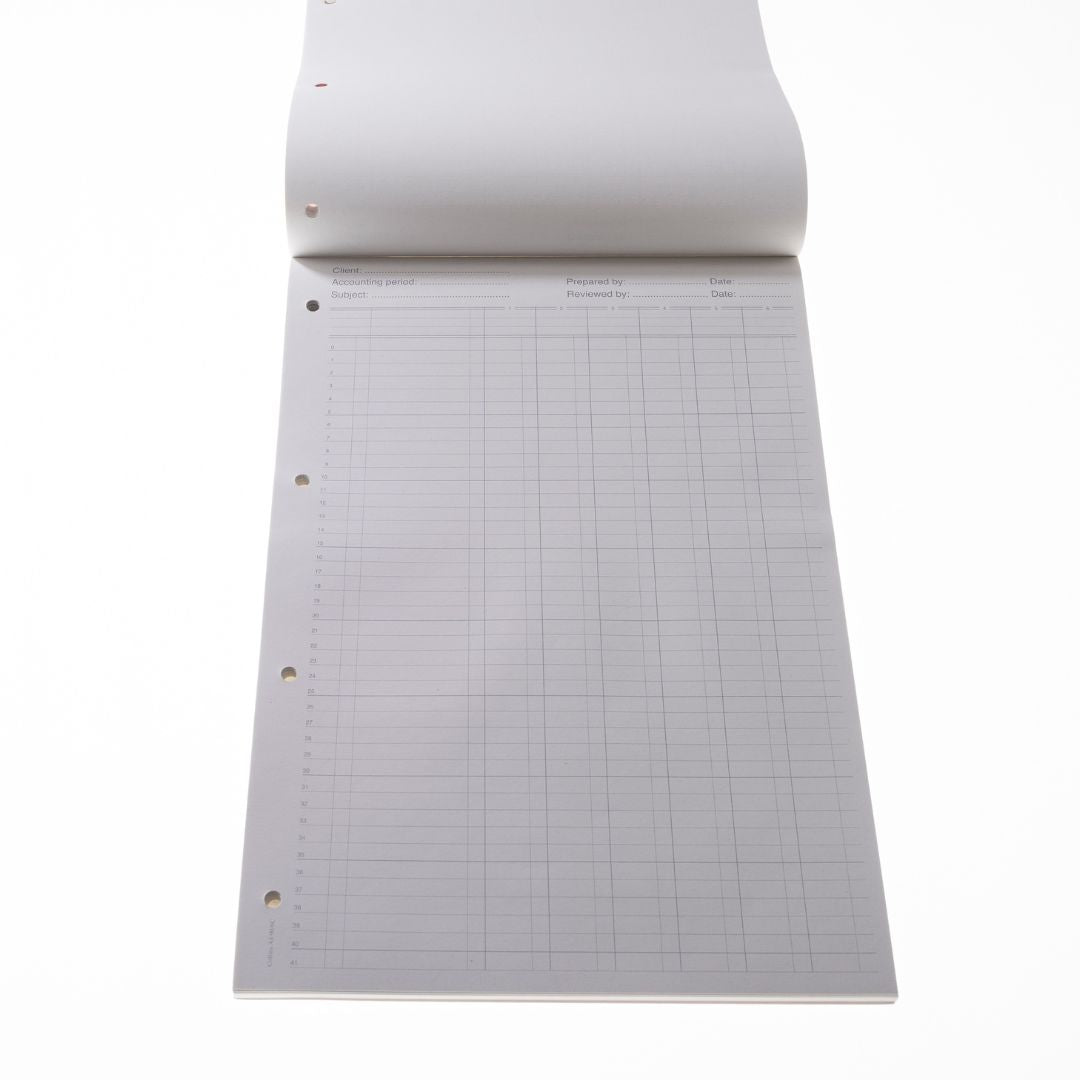 Cathedral - A4 Analysis Pad 6 Cash Columns  - Red (A4/90/6C)