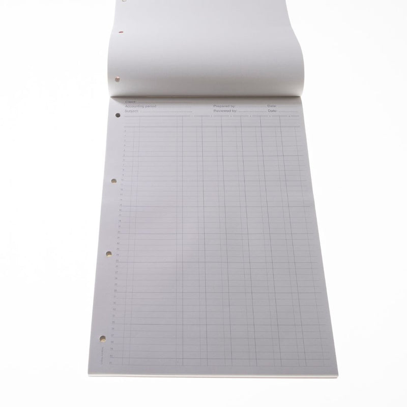 Cathedral - A4 Analysis Pad 6 Cash Columns  - Red (A4/90/6C)