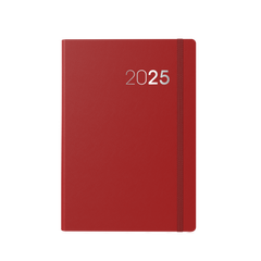 Collins Legacy - 2025 Daily Lifestyle Planner - A5 Day-to-Page Diary with Appointments  (CL51-25)