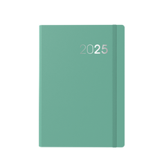 Collins Legacy - 2025 Daily Lifestyle Planner - A5 Day-to-Page Diary with Appointments  (CL51-25)