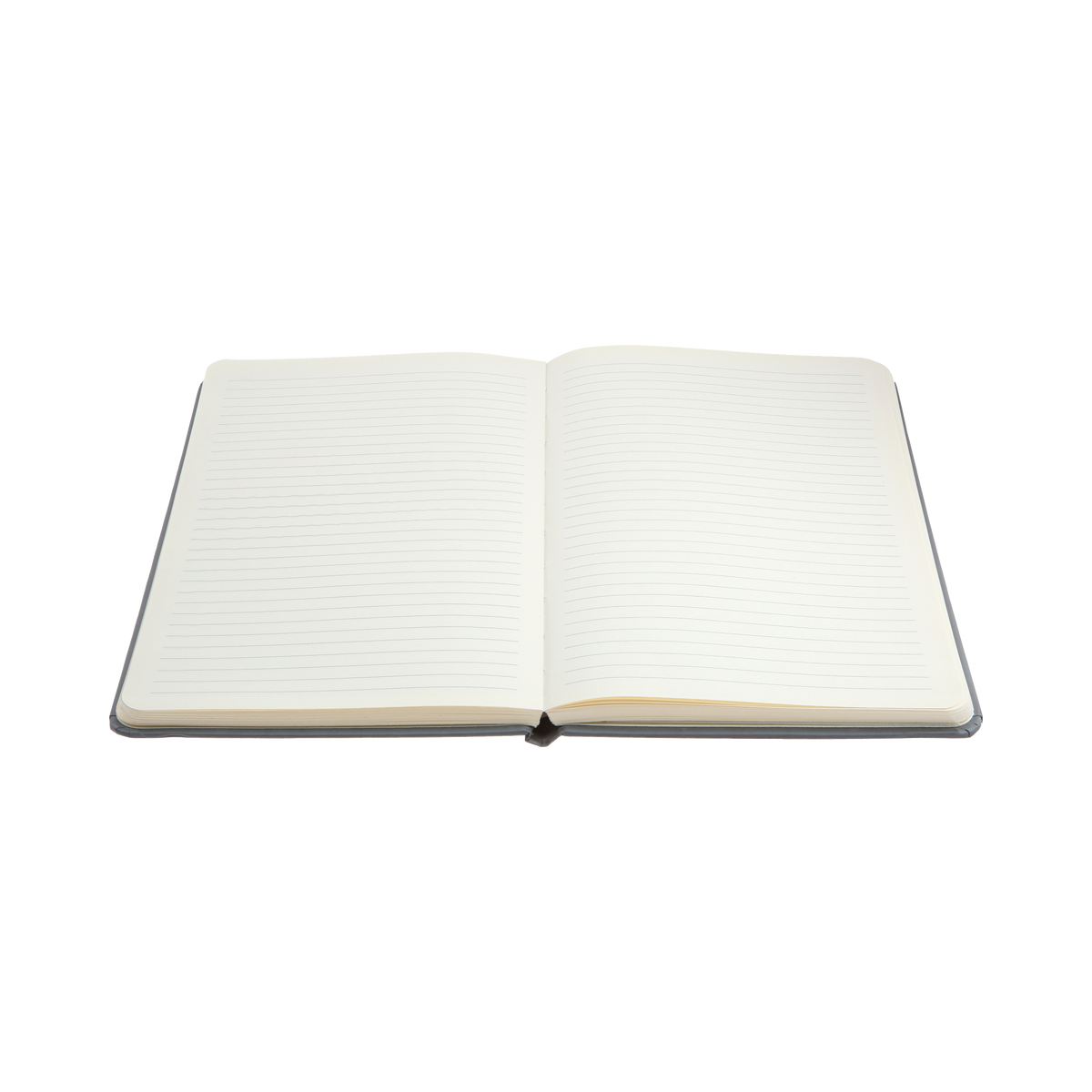 Daisy - A5 Slim Ruled Notebook (CS20)