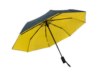 Ups & Downs Umbrella
