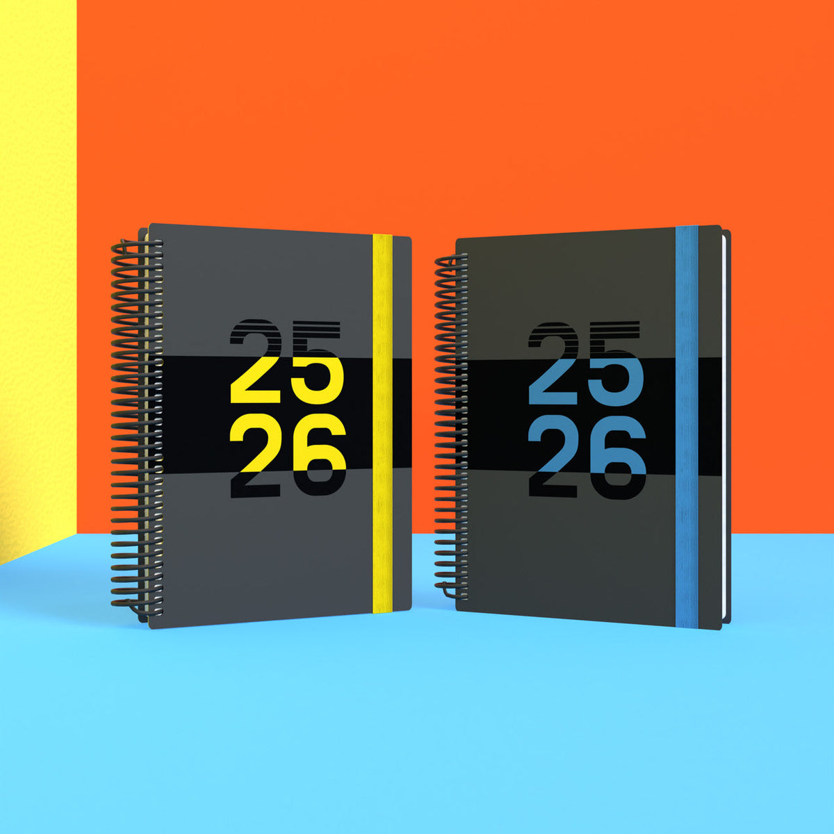 Delta - A5 Day-To-Page with Appointments Mid/Academic Year Diary Planner 2025-2026