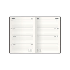 Bella Ramsay Cat - A5  Week-To-View - Diary - 2026 Calendar Year Planner