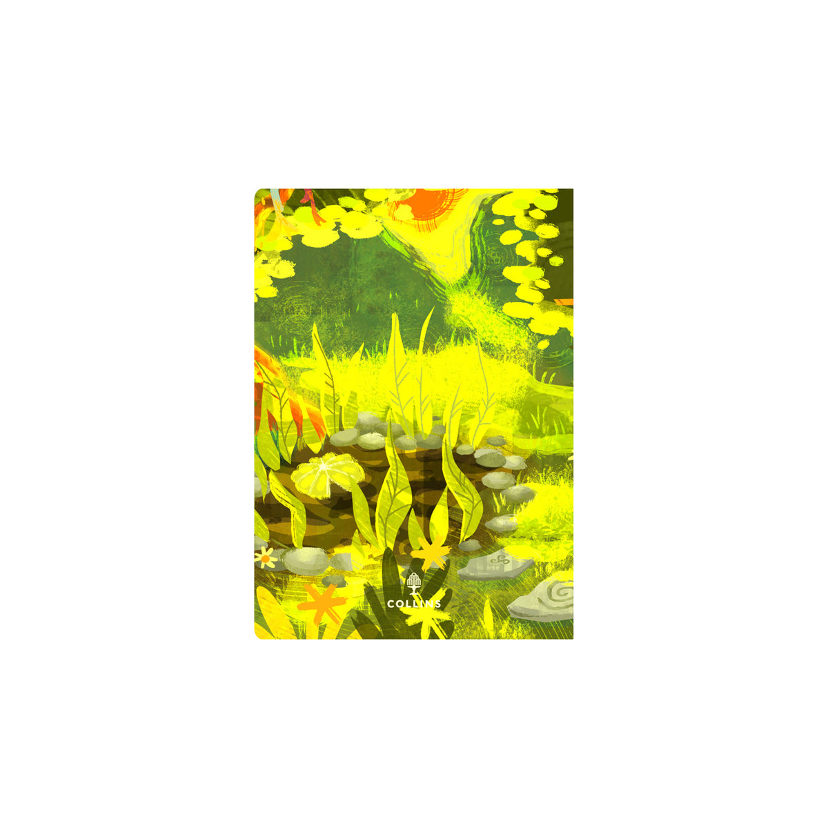 Bella Ramsay Cat - A5  Week-To-View - Diary - 2026 Calendar Year Planner