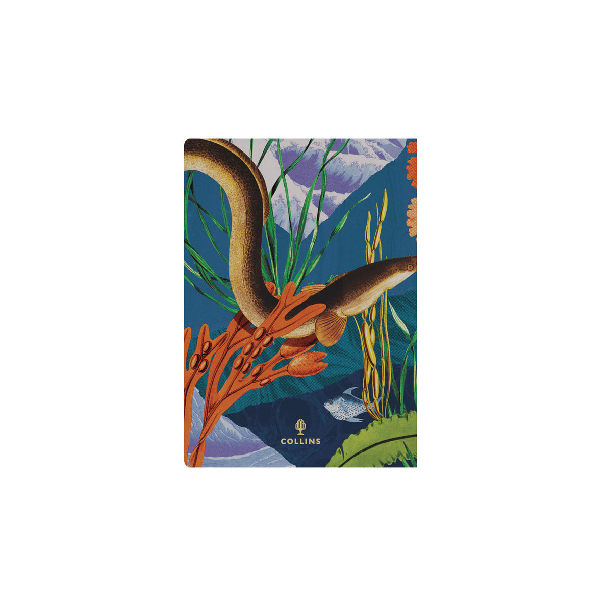 2027 Calendar Year Planner - 12 Month A5 Week-to-View Diary - Hard Cover - Collins Debden Modern Organic Range