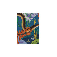 2027 Calendar Year Planner - 12 Month A5 Week-to-View Diary - Hard Cover - Collins Debden Modern Organic Range