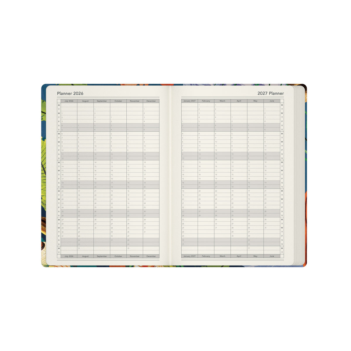 2026-2027 Mid Year Planner - 13 Month A5 Week-to-View Diary - Turtle - Collins Debden Modern Organics Range