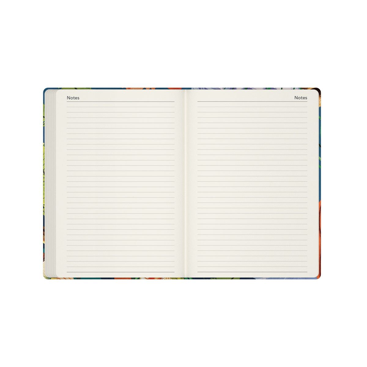 2026-2027 Mid Year Planner - 13 Month A5 Week-to-View Diary - Turtle - Collins Debden Modern Organics Range