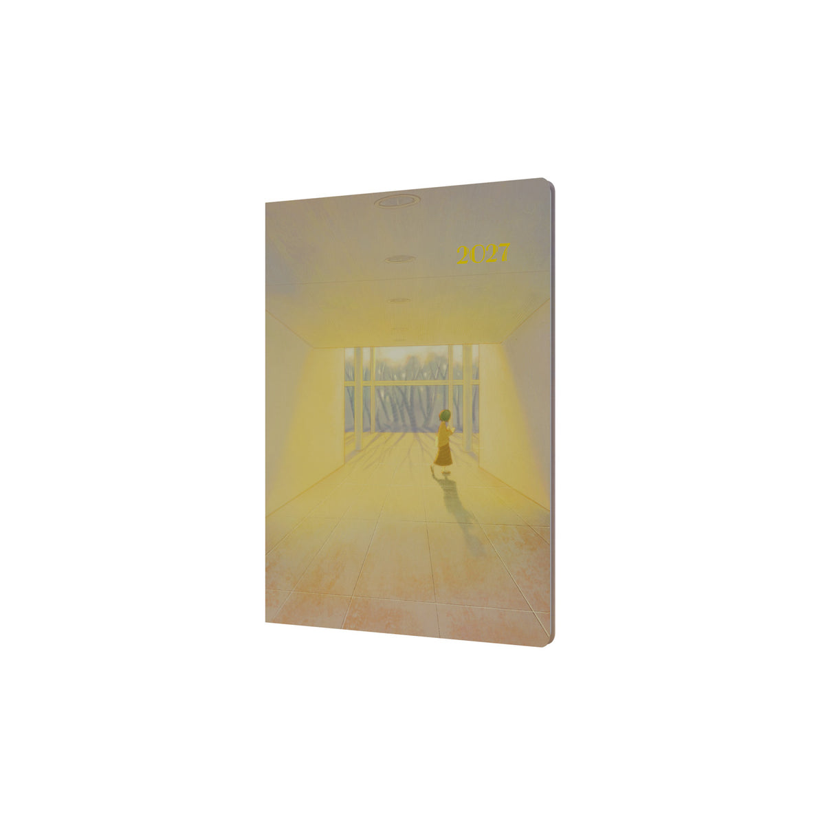 2027 Calendar Year Planner - 12 Month A5 Week-to-View Diary - Hard Cover - Collins Debden 'The Light' Range