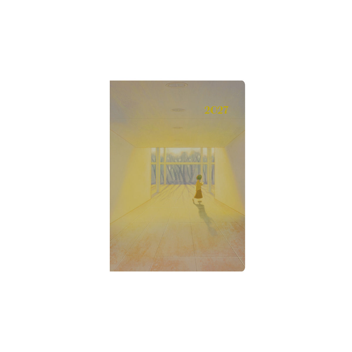 2027 Calendar Year Planner - 12 Month A5 Week-to-View Diary - Hard Cover - Collins Debden 'The Light' Range