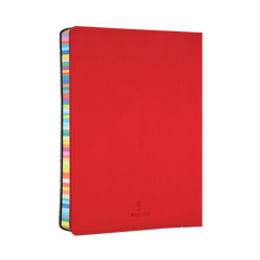 Collins Edge Rainbow - 2024 Daily Lifestyle Planner - Day-to-Page Diary with Appointments (ED151-24)