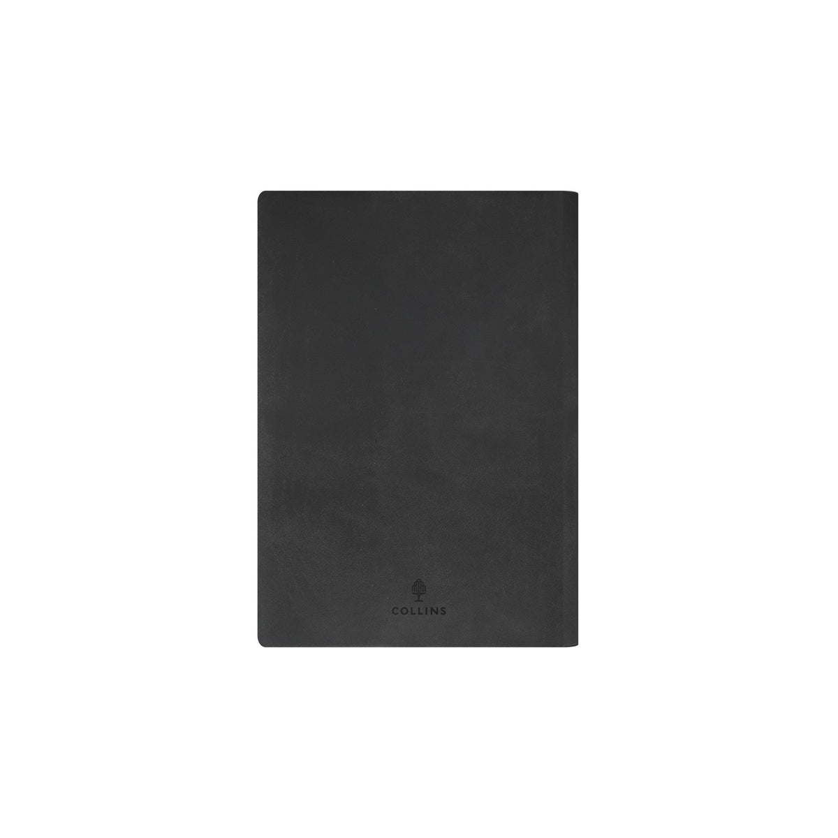 Edge Rainbow - A5 Day-To-Page Diary with Appointments- 2026 Calendar Year Planner