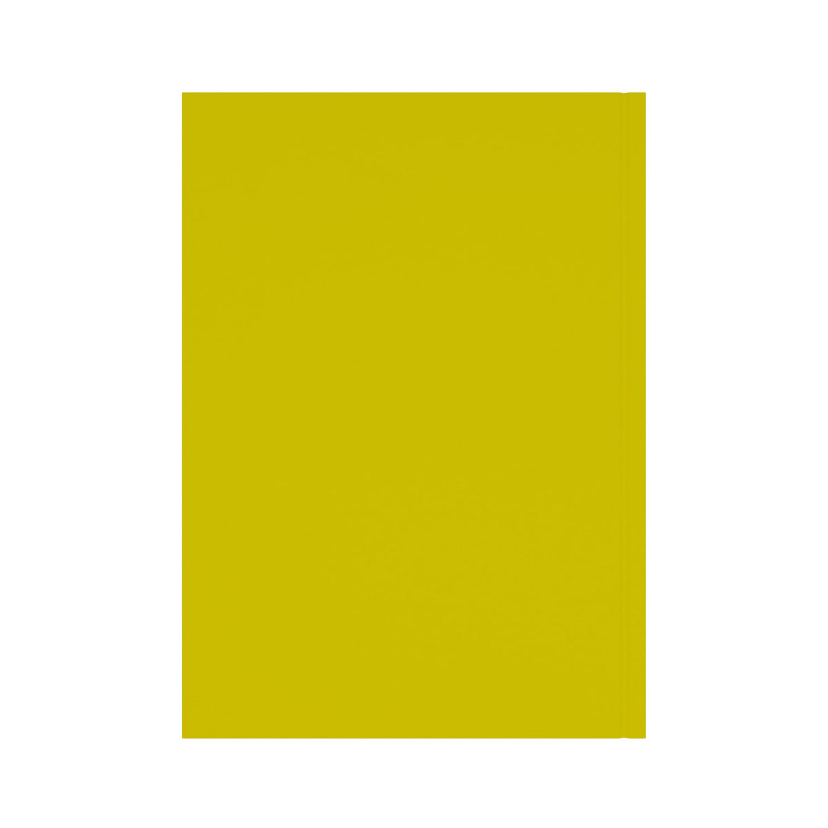 2026-2027 - Mid/Academic Year Planner - 13 Month A4 Day-to-Page Diary - Collins Debden Essential Range