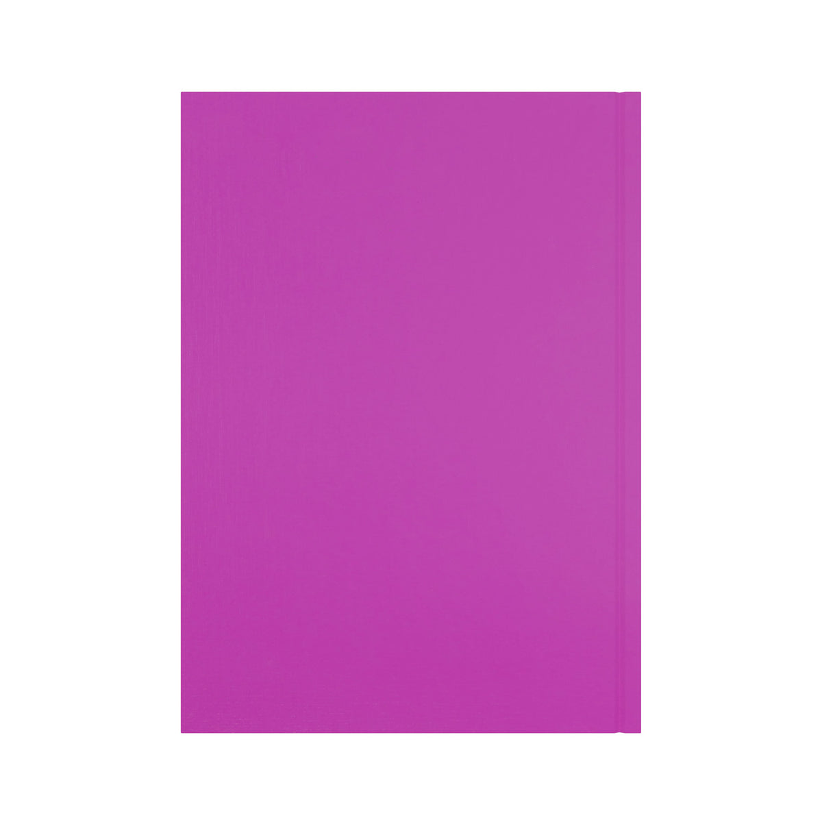 2026-2027 - Mid/Academic Year Planner - 13 Month A4 Day-to-Page Diary - Collins Debden Essential Range