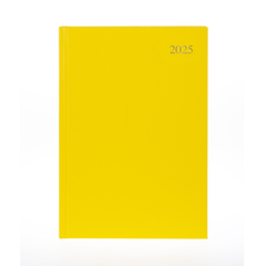 Essential - A4 Day-to-Page Diary- 2025 Calendar Year Planner