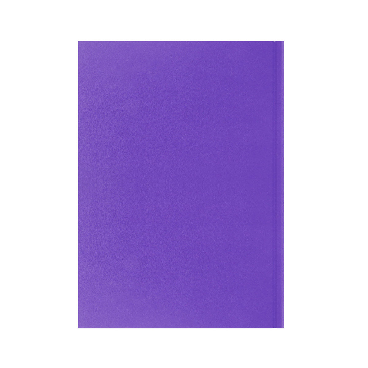 Essential - A4 Day-to-Page Diary - 2026 Calendar Year Planner