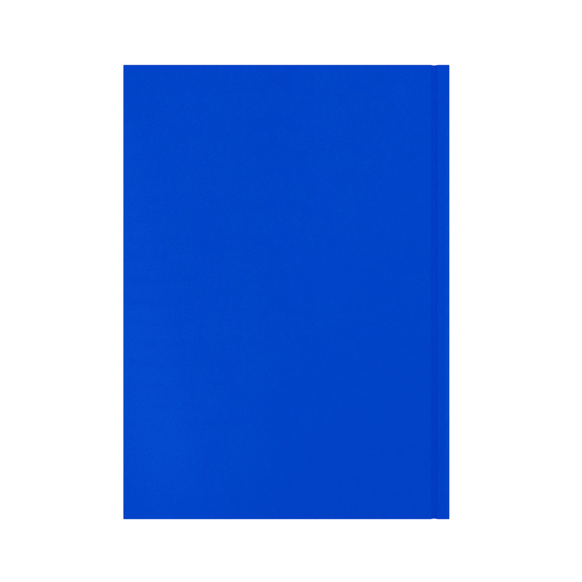 Essential - A4 Day-to-Page Diary - 2026 Calendar Year Planner